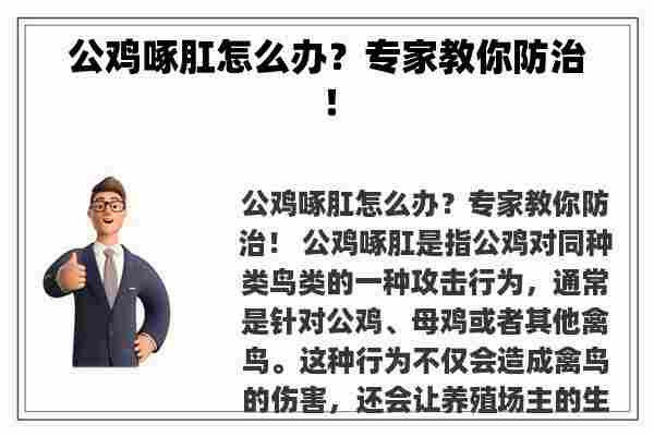 公鸡啄肛怎么办？专家教你防治！